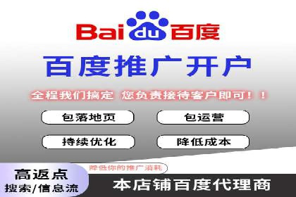 SEM广告投放的精准定位与优化案例